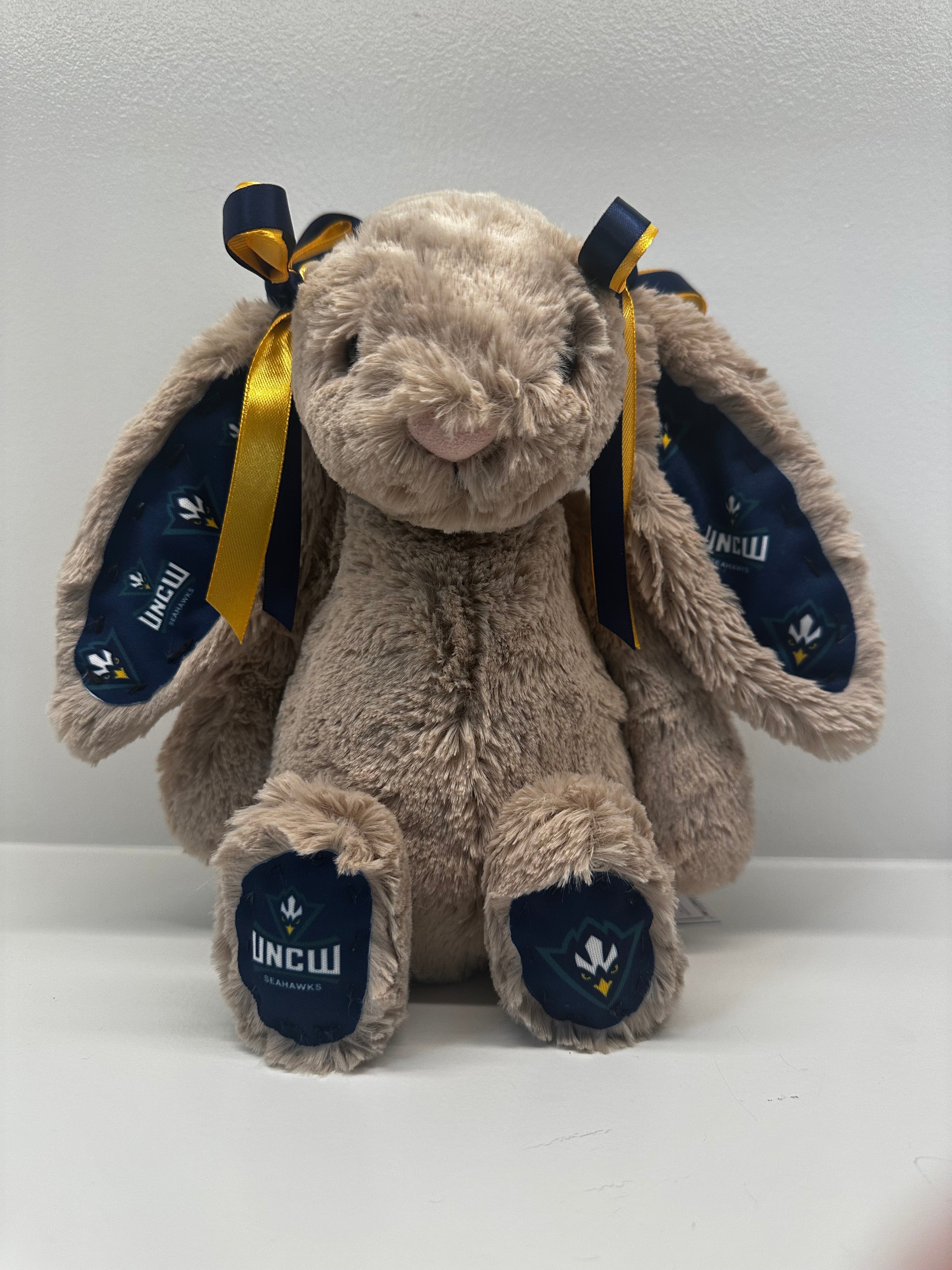 Custom College Jellycat Bashful Bunny
