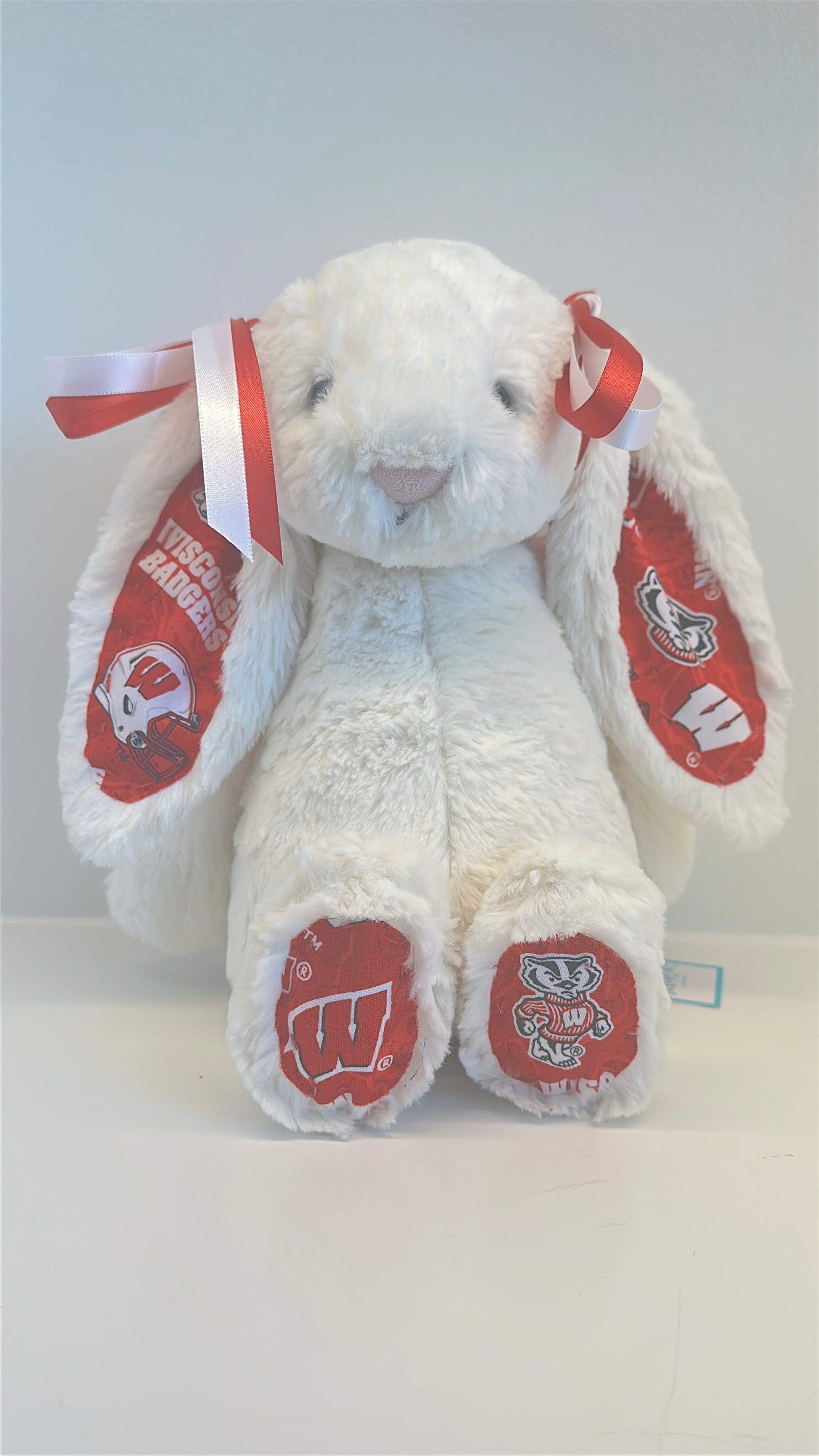 White plush bunny with red tags on a white background university of Wisconsin