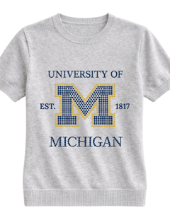 University of Michigan Est 1817 Grey Short Sleeve Sweater